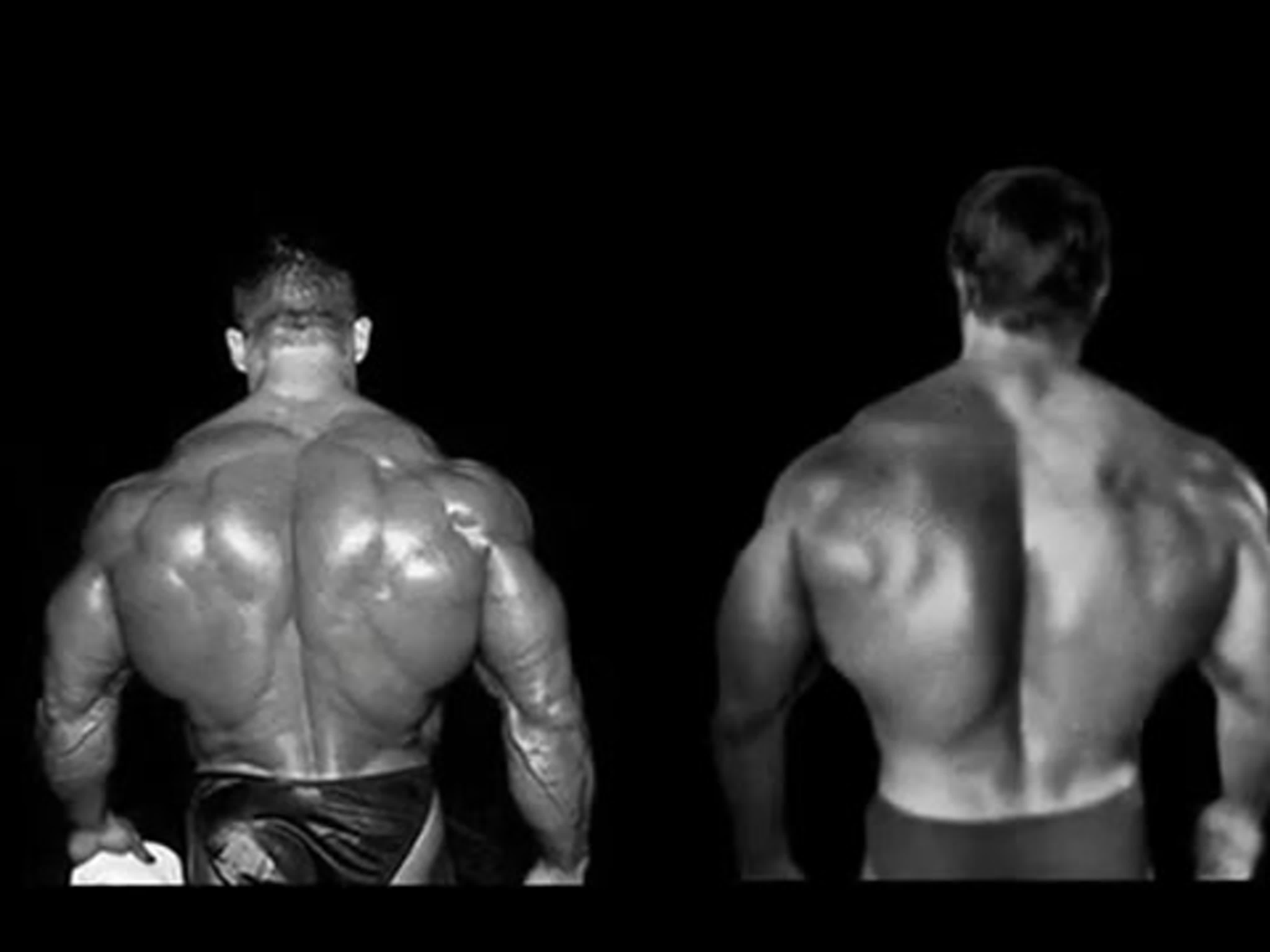 Versus - bodybuilding