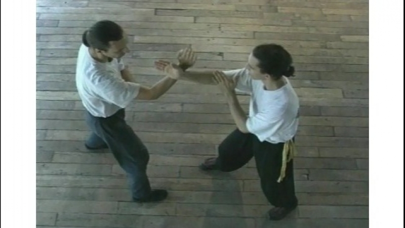 Didier Beddar - Wing Chun