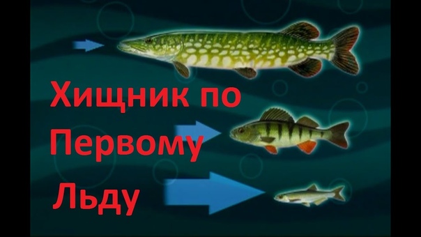 ДИАЛОГИ О РЫБАЛКЕ