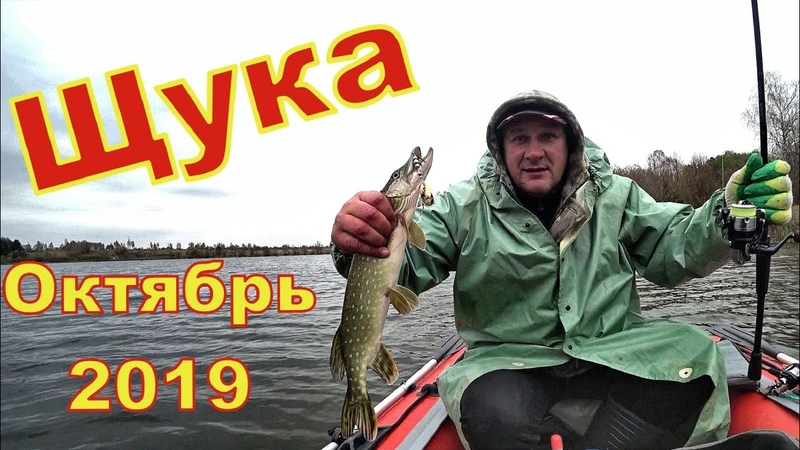 ЩУКА