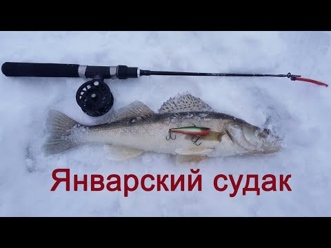 СУДАК