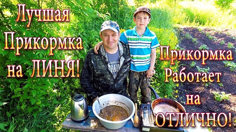ЛИНЬ