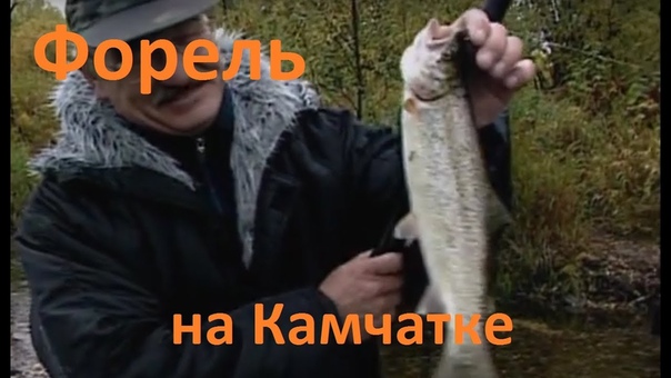 ФОРЕЛЬ