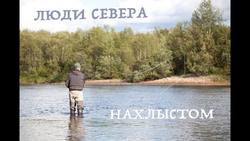 СЁМГА
