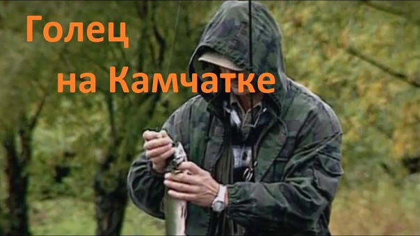 ГОЛЕЦ