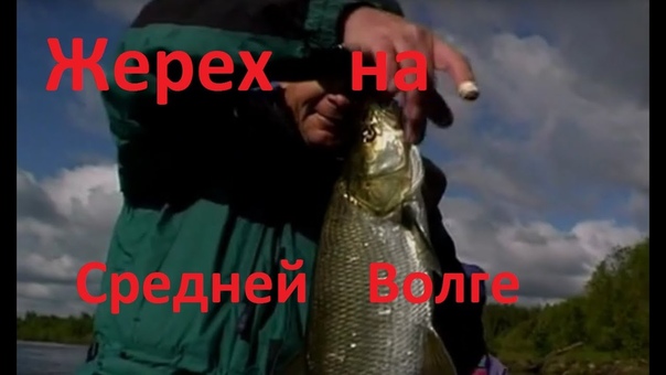 ЖЕРЕХ