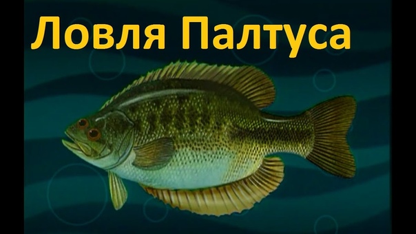 ПАЛТУС