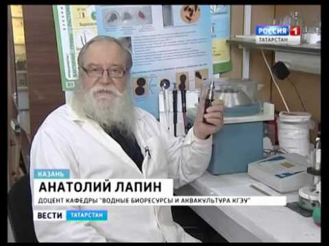 Электронные сигареты