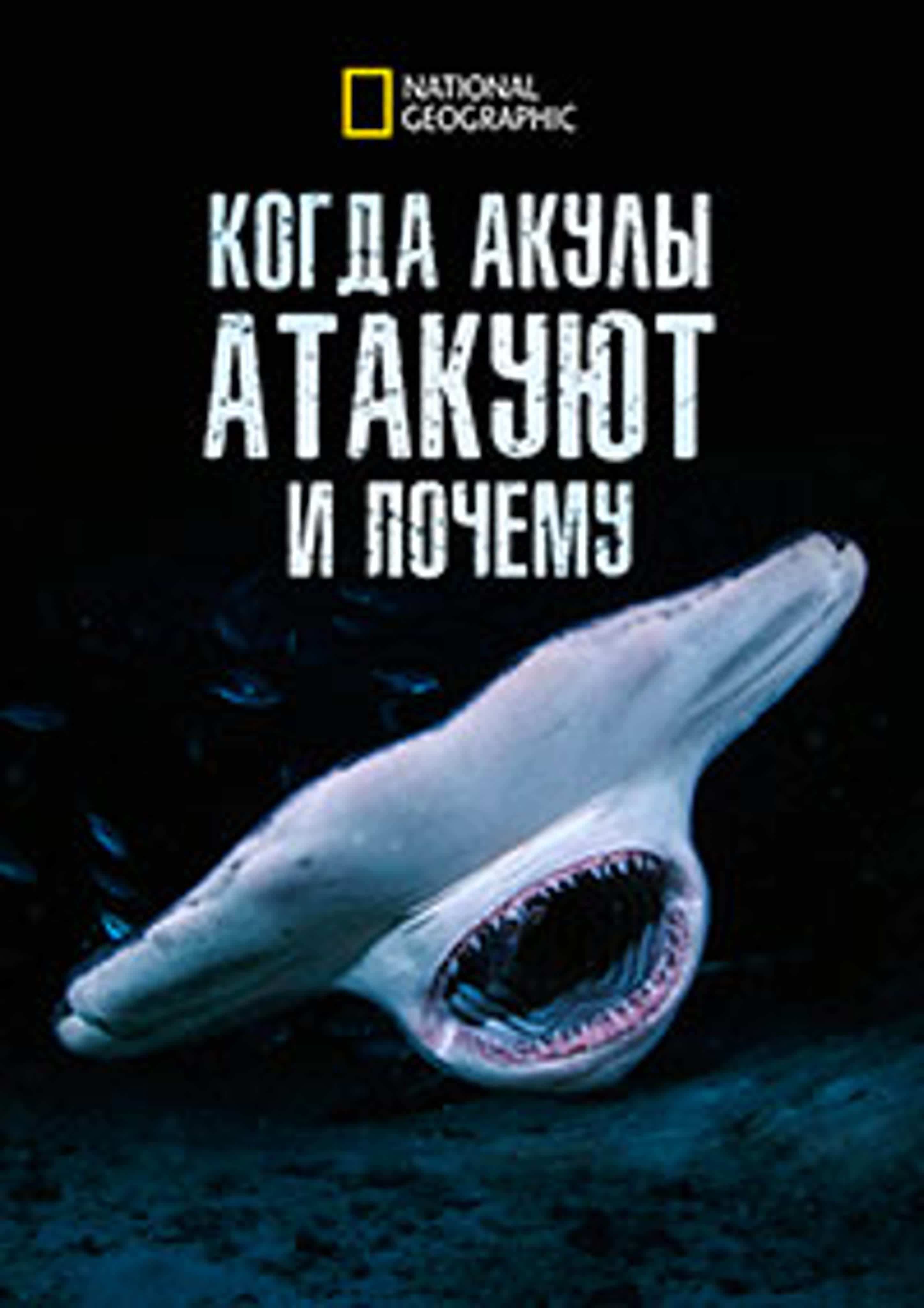 Когда акулы нападают... и почему / When Sharks Attack... and Why (2023)