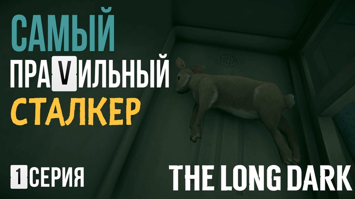 САМЫЙ ПРАVИЛЬНЫЙ ZТАЛКЕР✮СПС✮THE LONG DARK