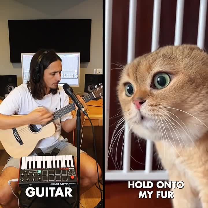 Музыка