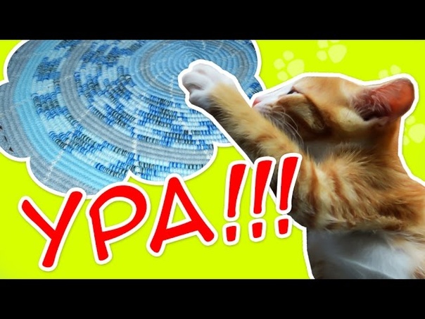 МОИ КОНКУРСЫ