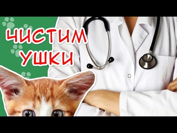 МОЕ ЗДОРОВЬЕ