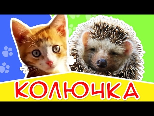 МОИ ПОДЕЛКИ