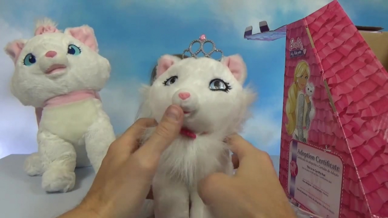 Кошки