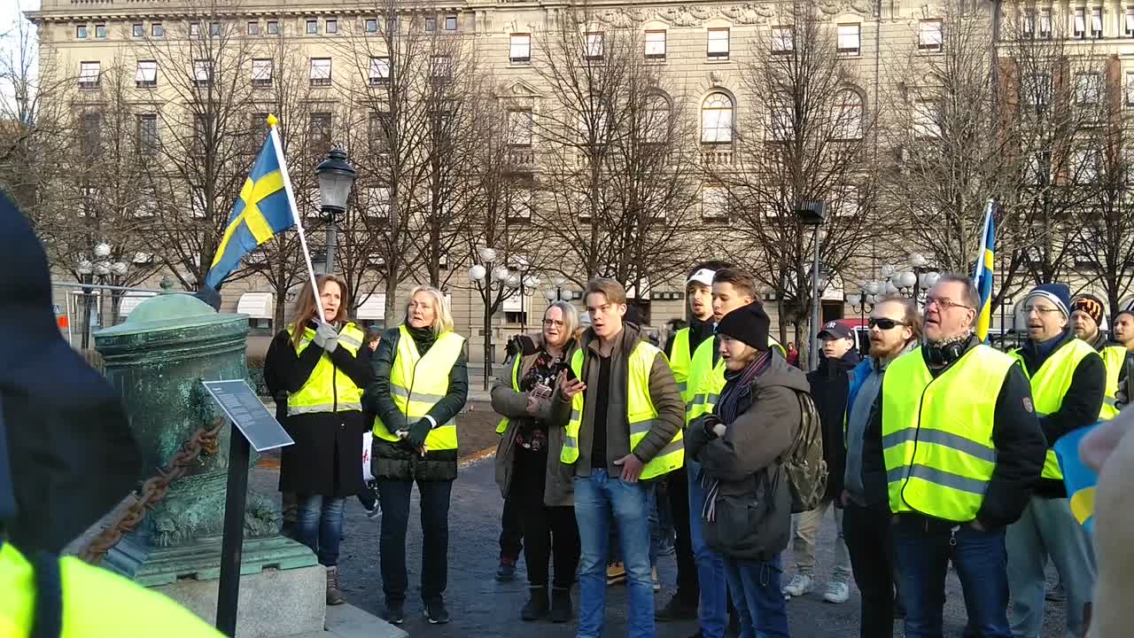 Protestmarscher i Stockholm våren 2019