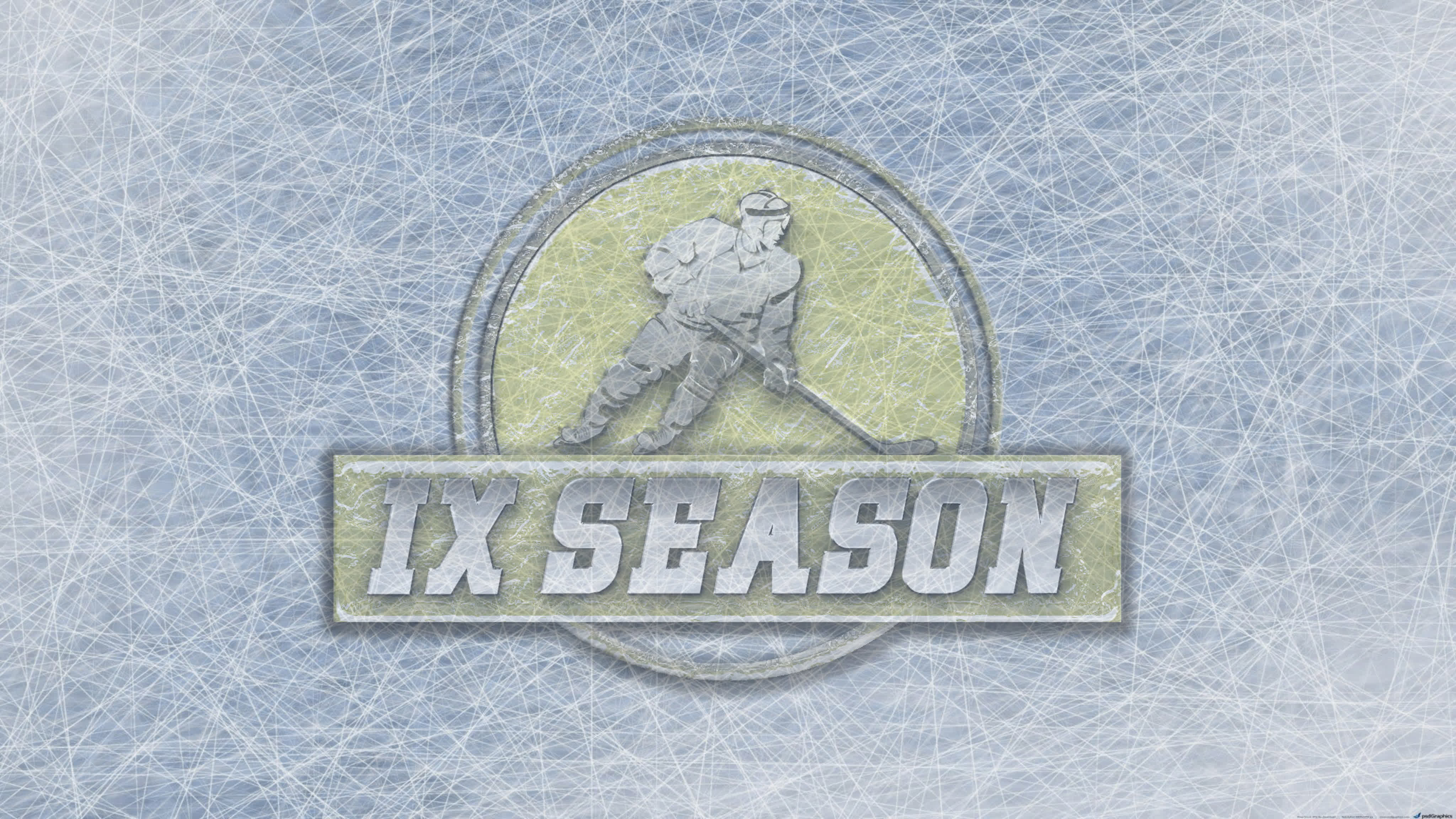 IX Регулярный сезон по NHL94