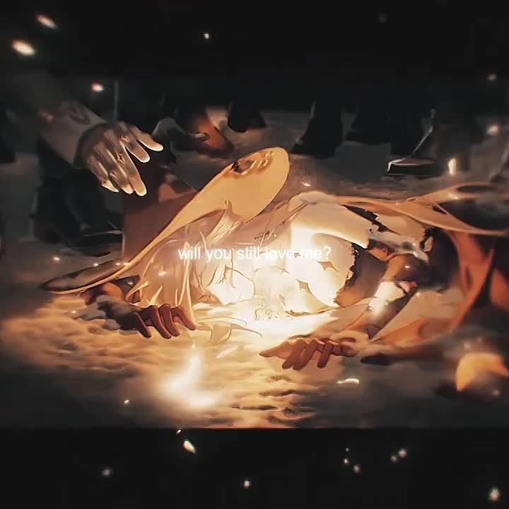 ✦ signora