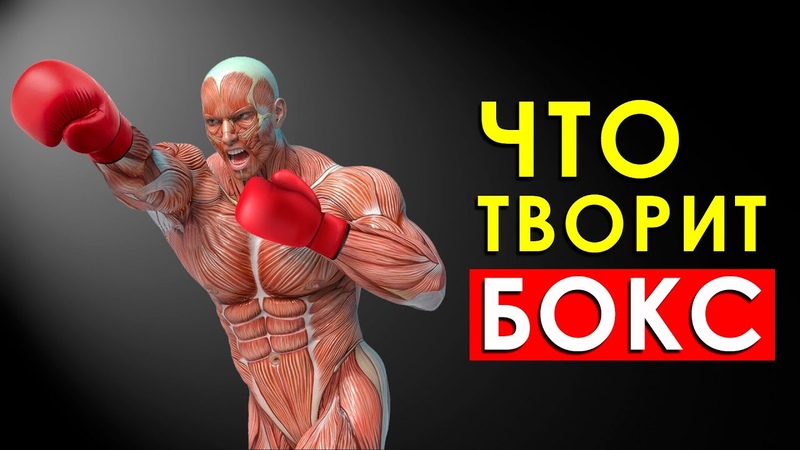БОКС