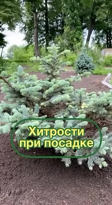 Участок