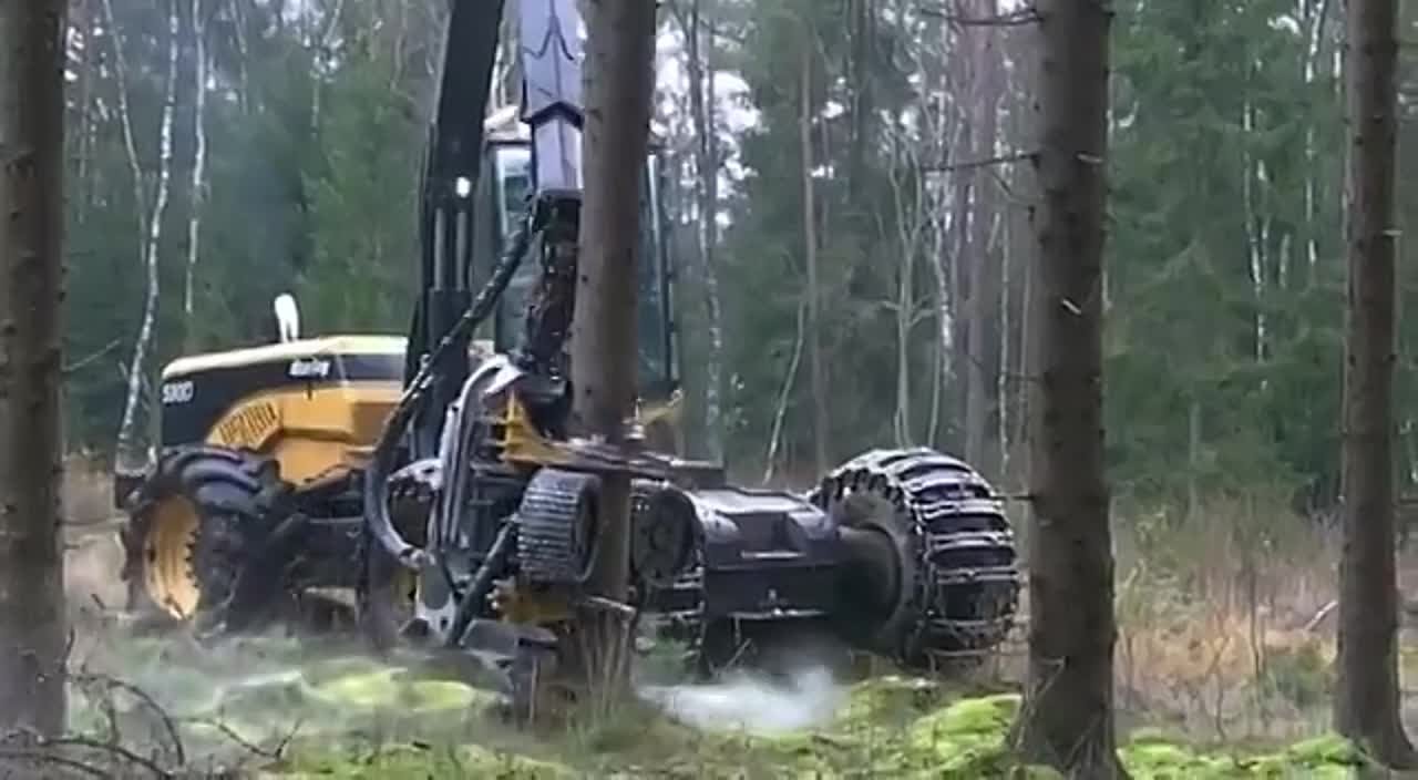 Подписчики
