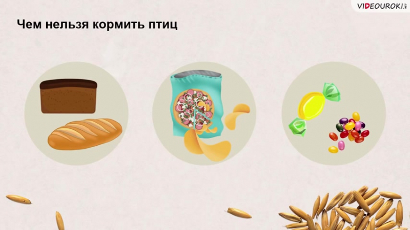 Видеоуроки