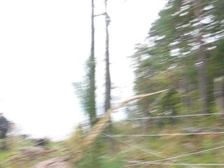 Сталкер страйк 2010 (сентябрь)
