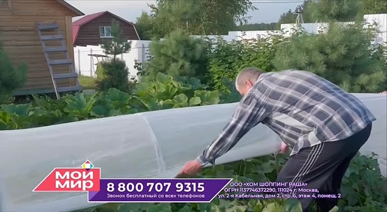 КОРЕЙСКАЯ  КУХНЯ