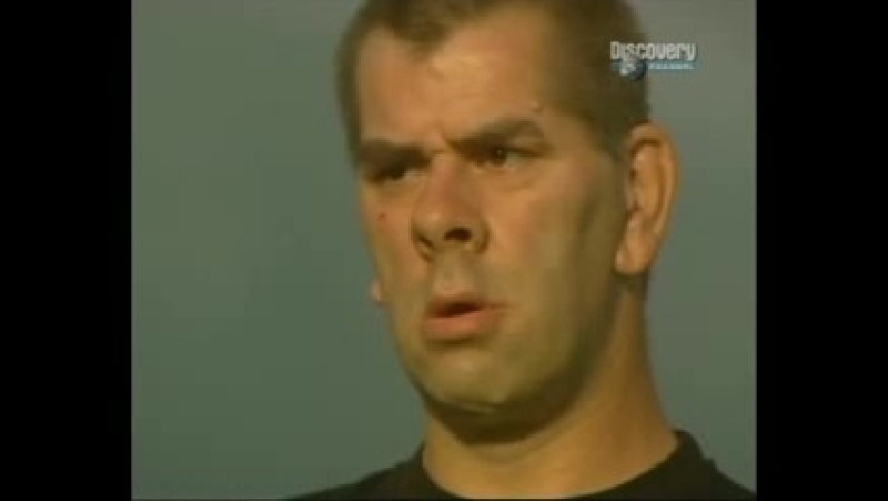 Чувства секса