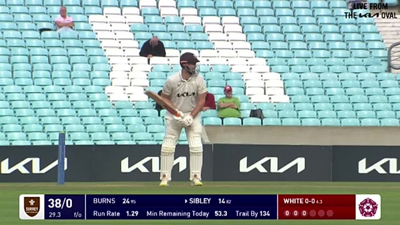 Surrey Cricket