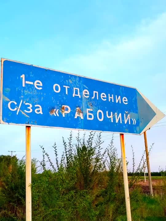 Позитивные видео