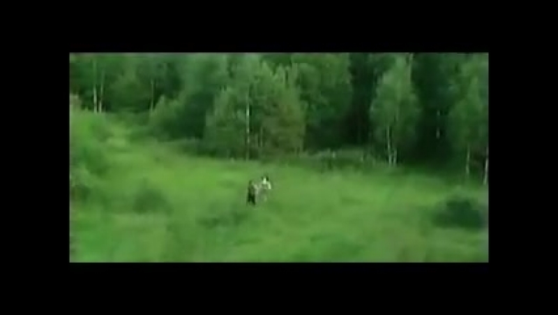операция цвет нации