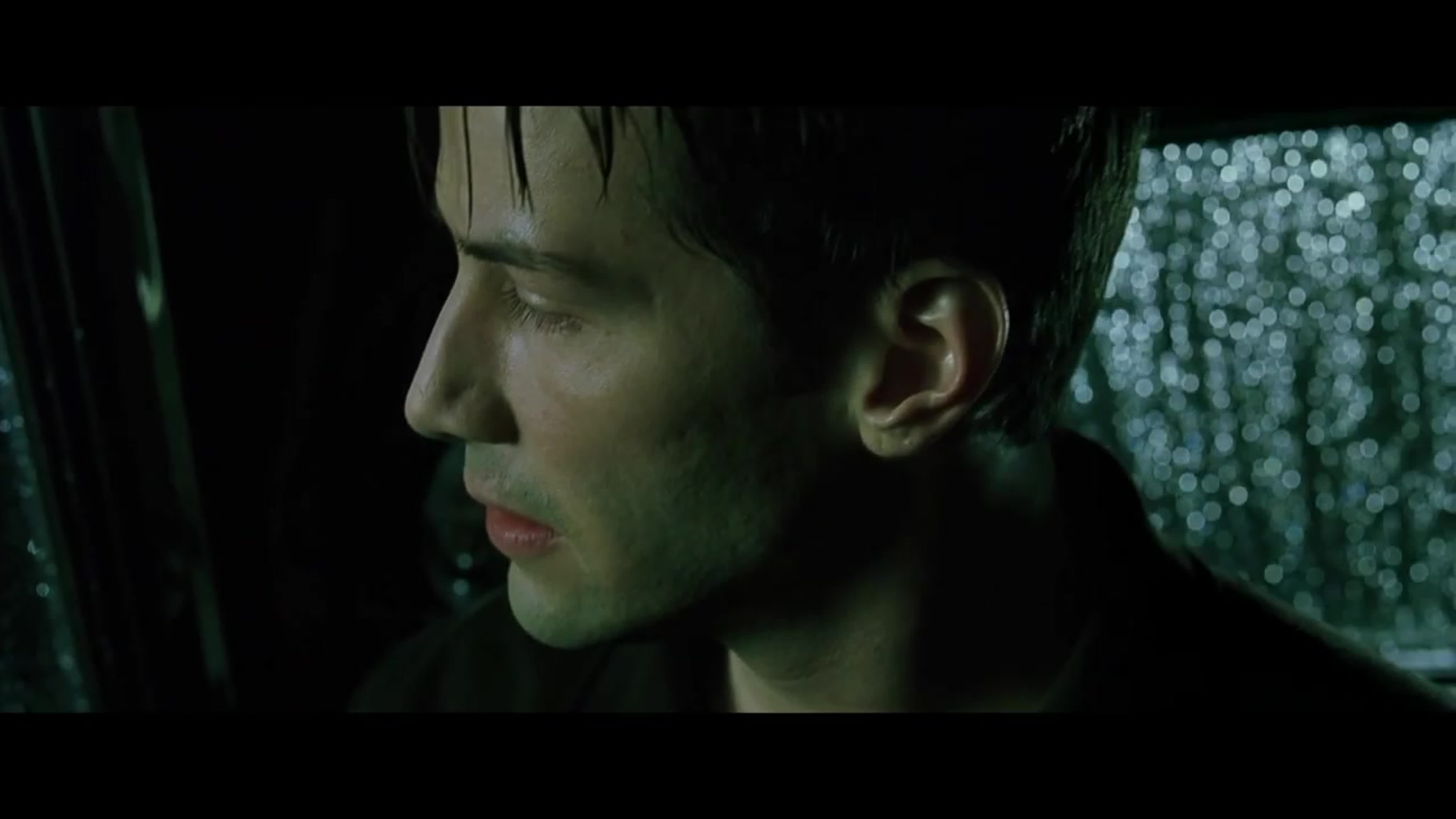 Разное (кроме животных)