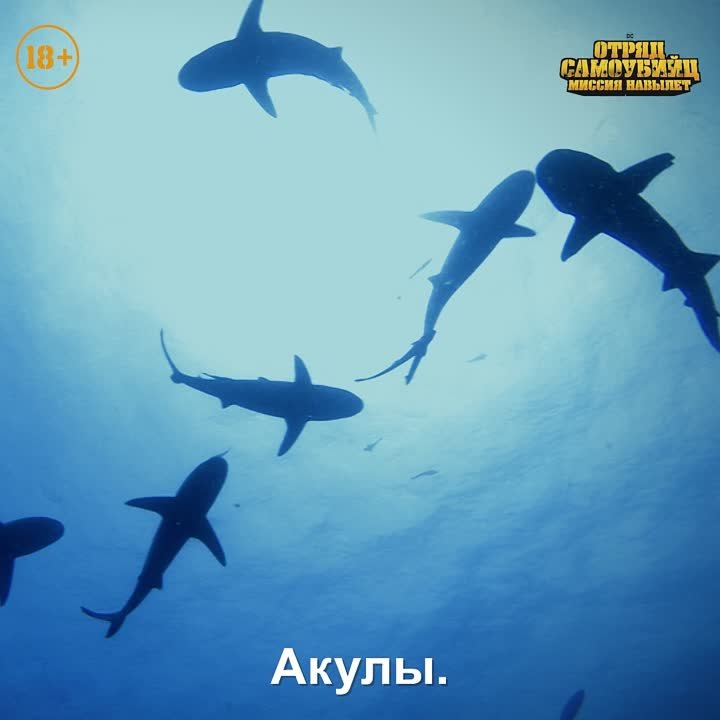 Отряд самоубийц Миссия навылет