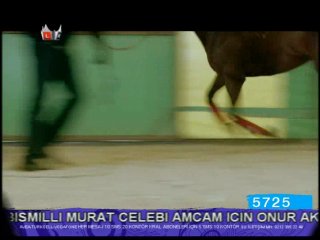 Hasan Yıldırım