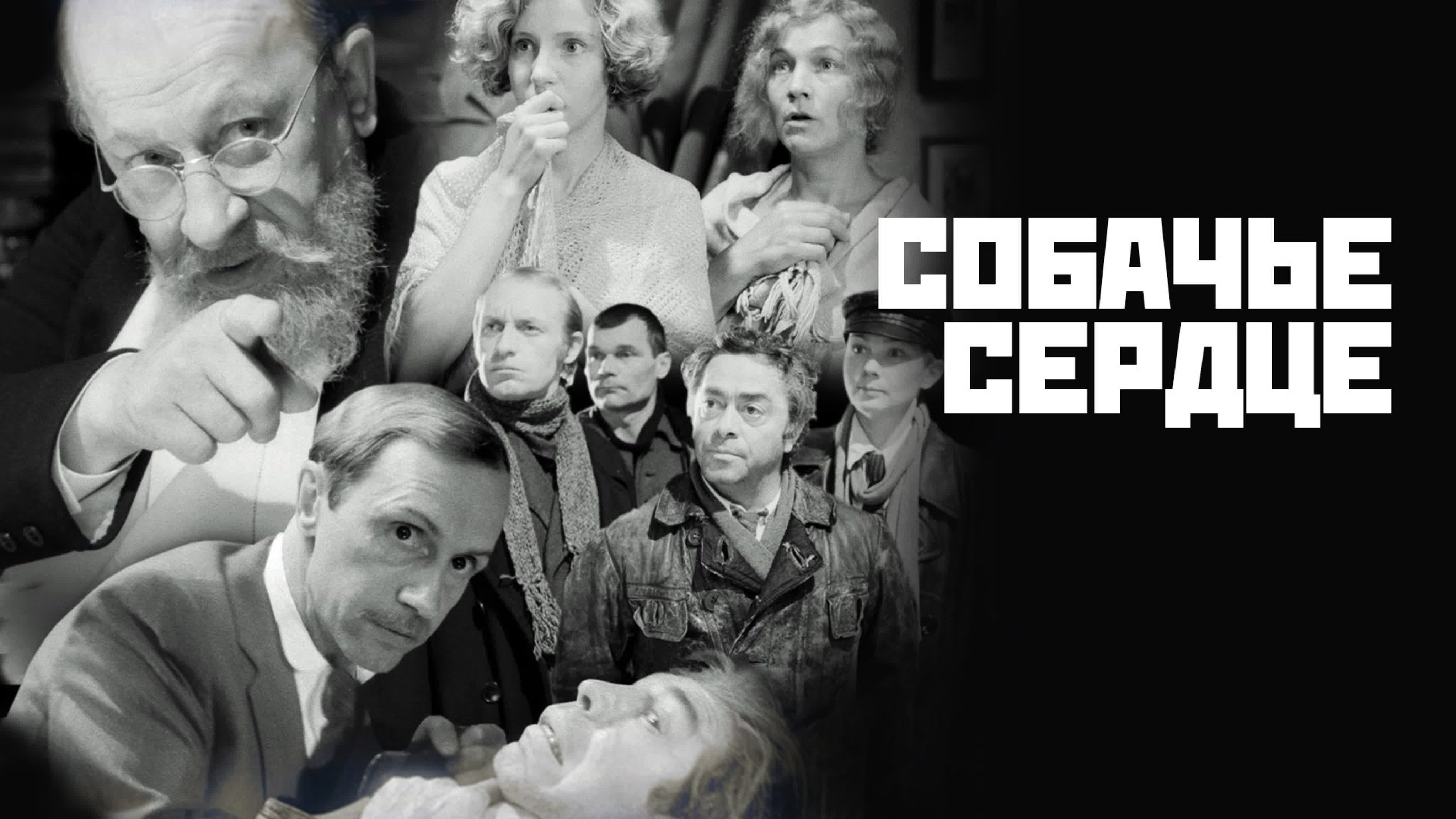 «Собачье сердце» — советский двухсерийный художественный телевизионный фильм, снятый режиссёром Владимиром Бортко по мотивам одн