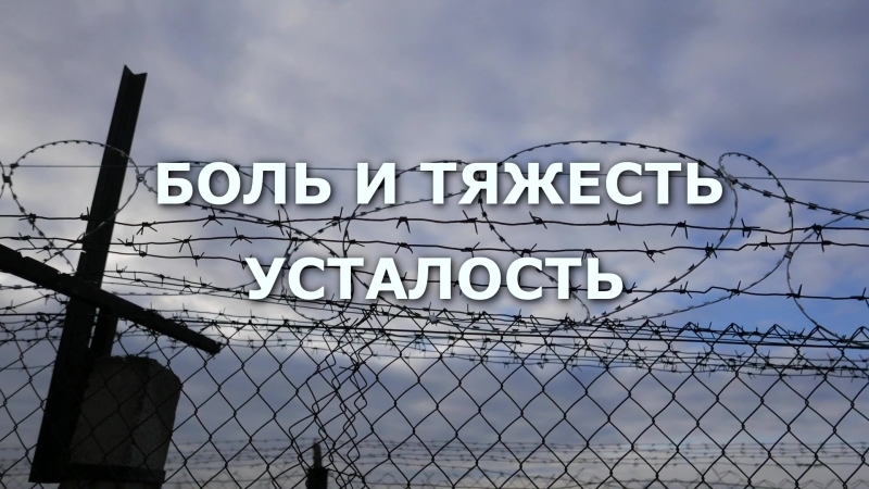 Трейлер