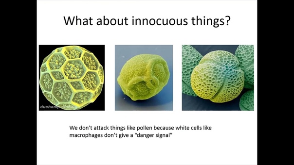 Первичные иммунодефицитные состояния