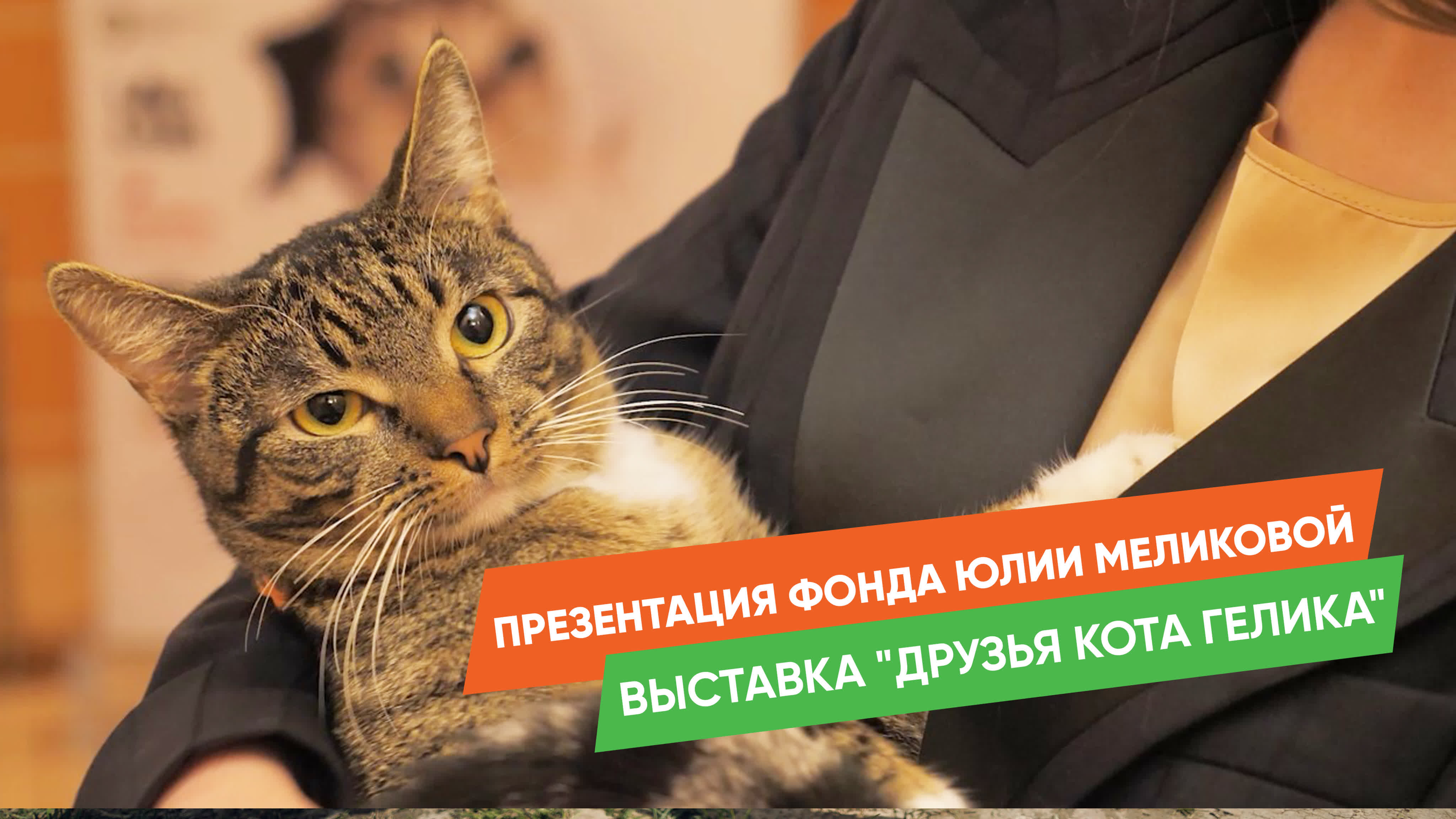Pet-friendly мероприятия