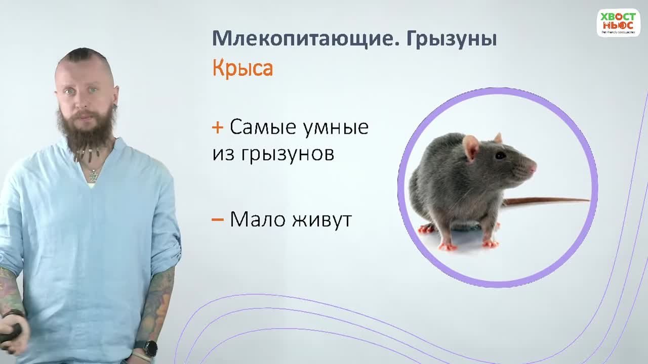 Импорт
