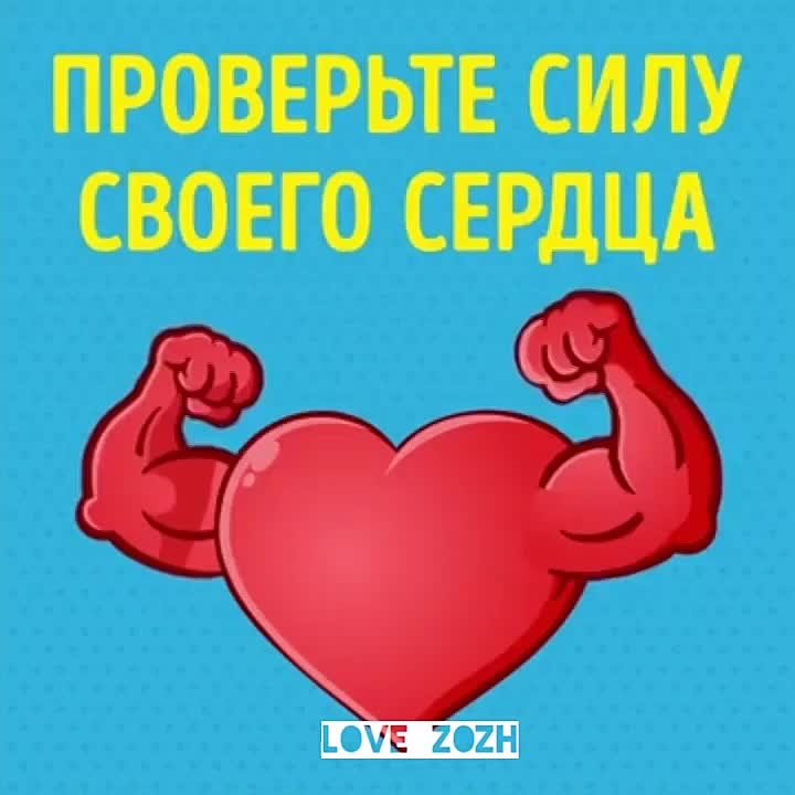 АНАТОМИЯ АТЛЕТА