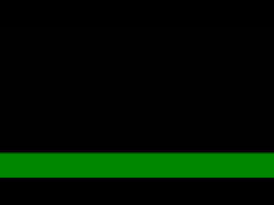 2009