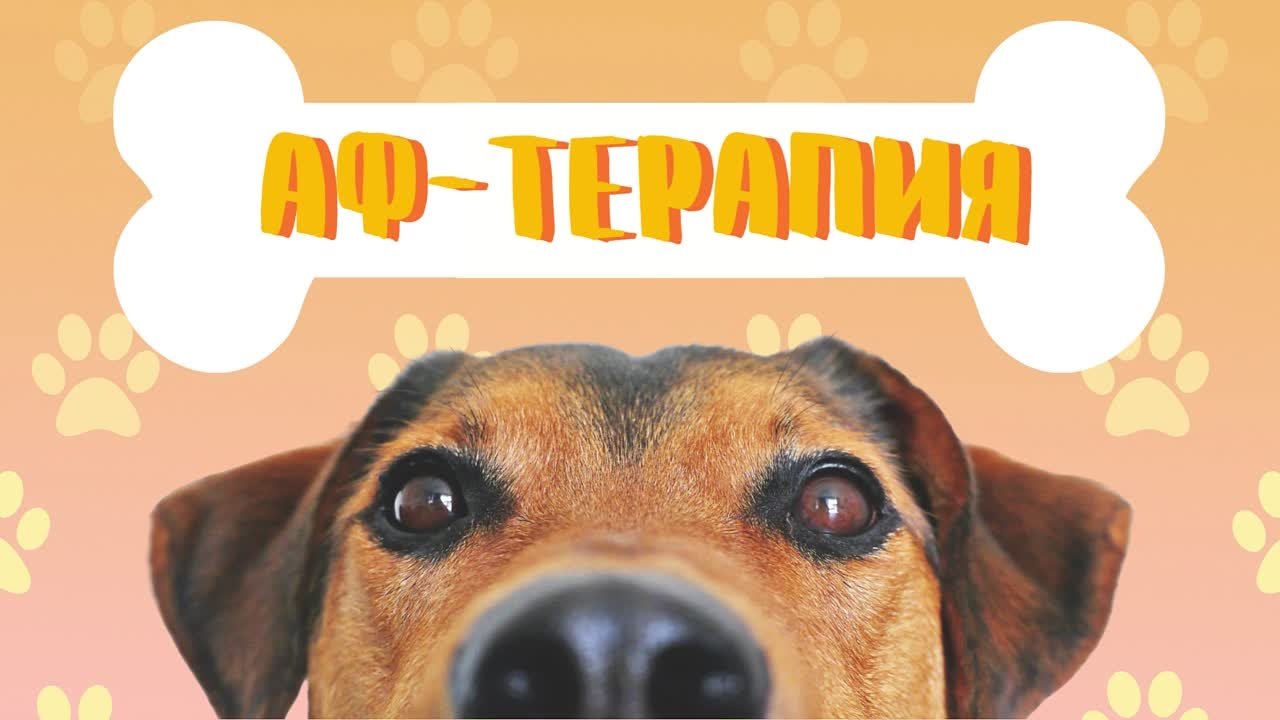 Рубрика "Аф-терапия"