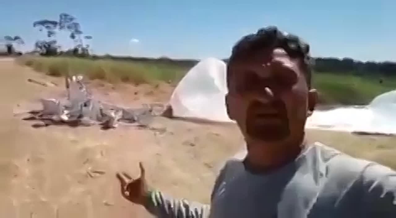 Мои