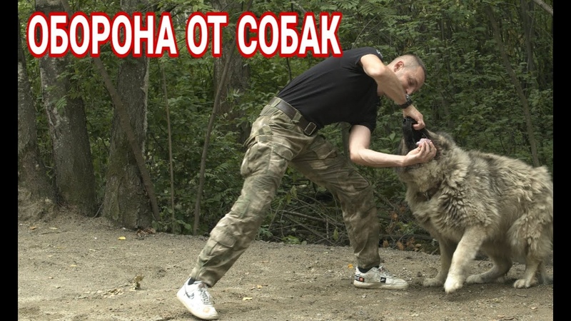 велос