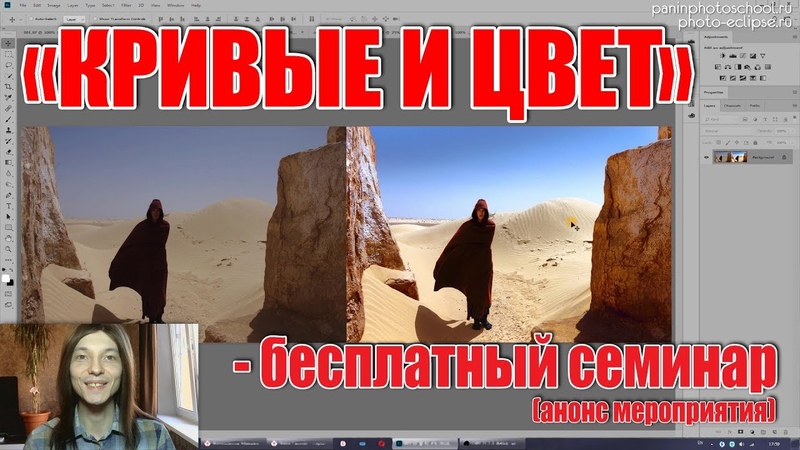 Стив Ласмин