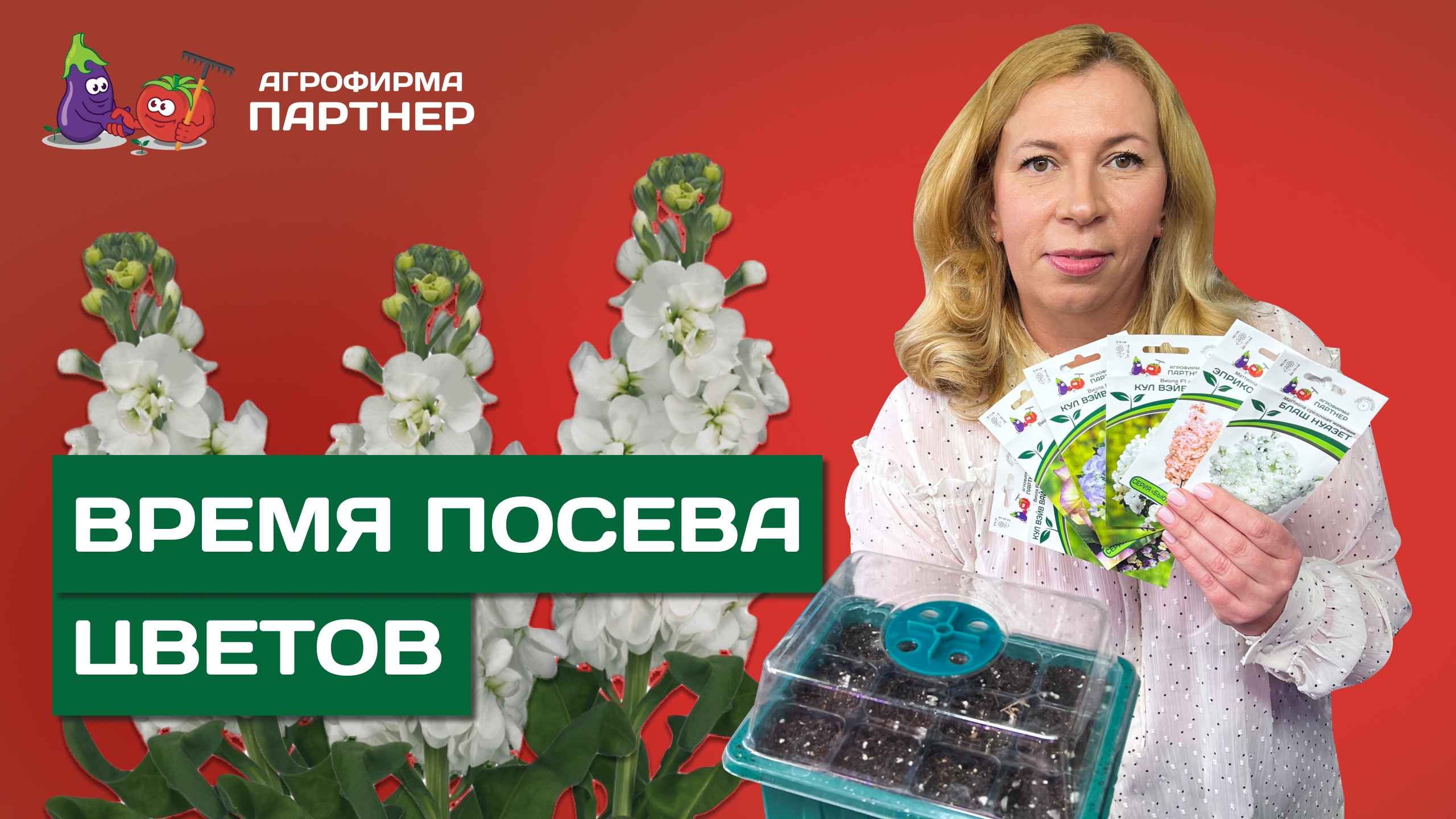 Цветы