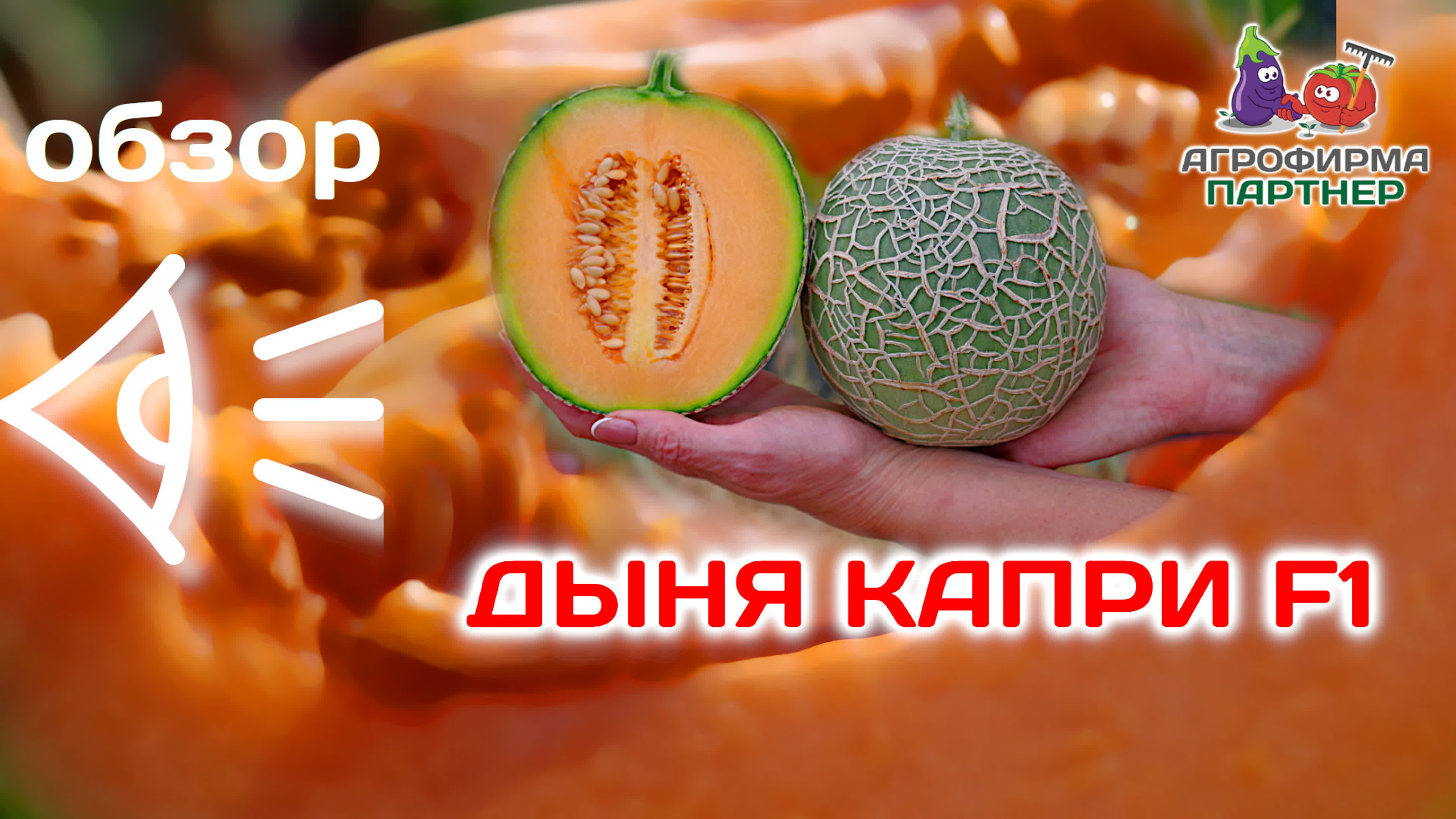 Арбузы и дыни