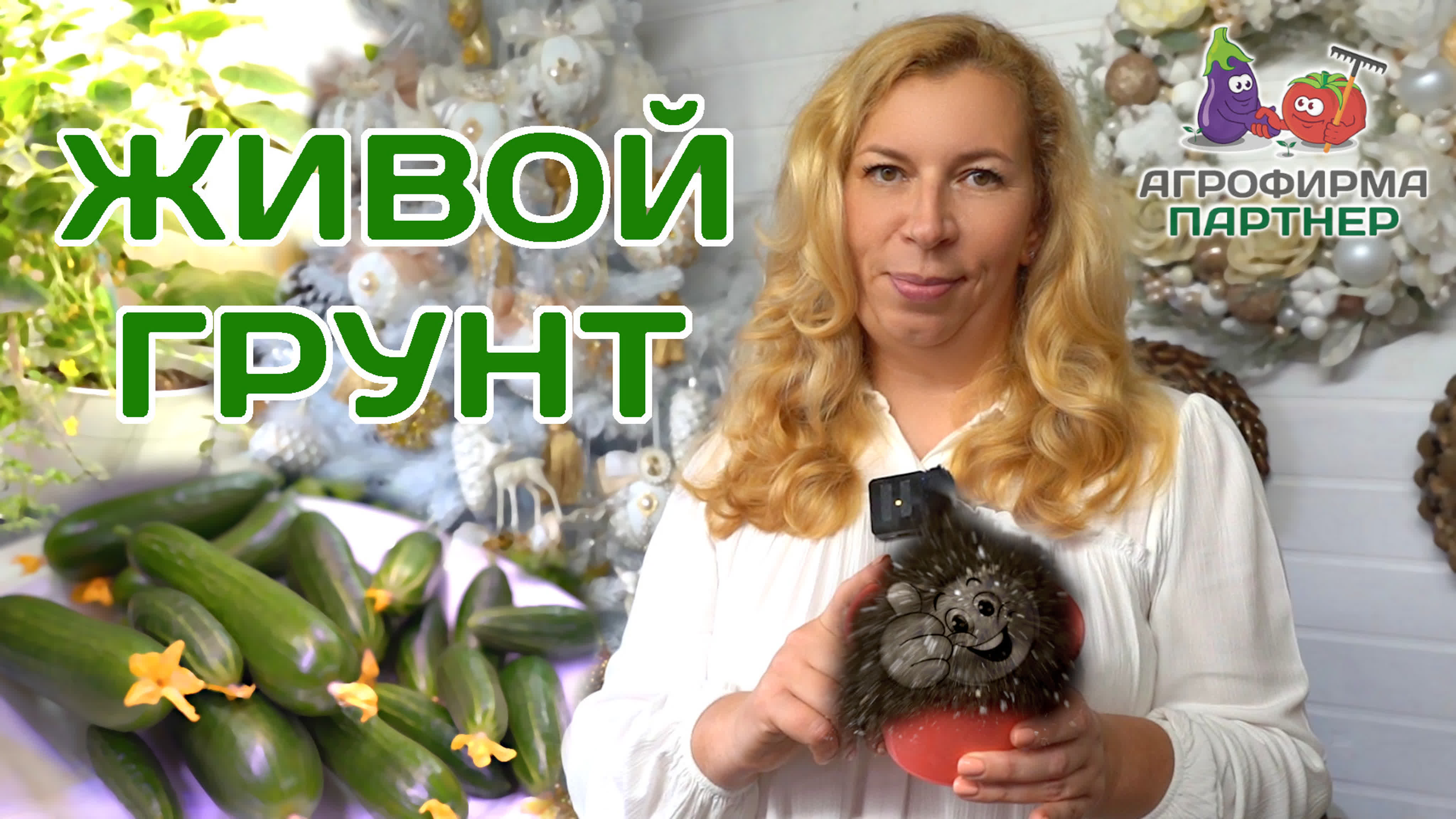 Огород и сад на окне