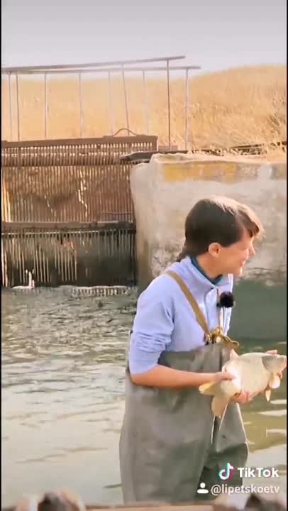 Тик Ток